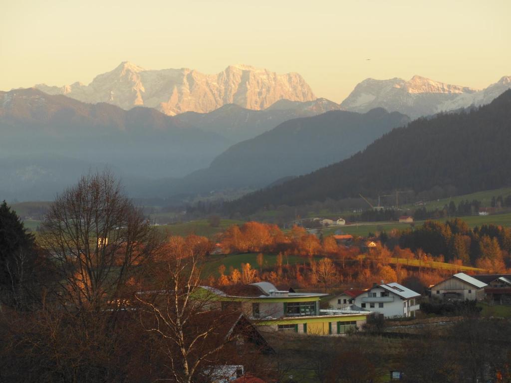 Parkhotel Tannenhof Oy-Mittelberg Extérieur photo